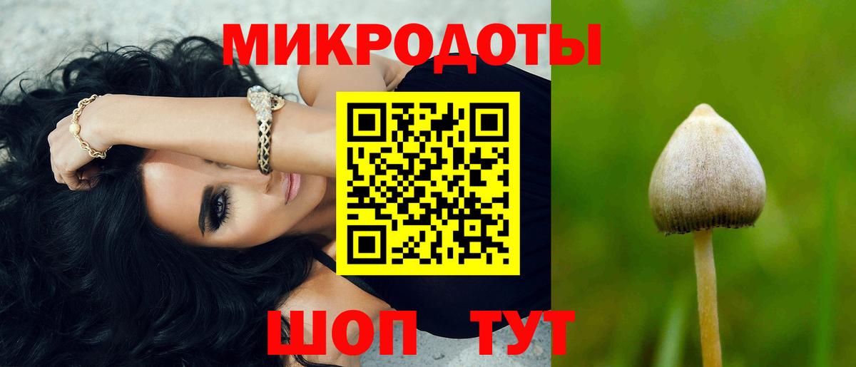 Галлюциногенные грибы Cubensis Лянтор